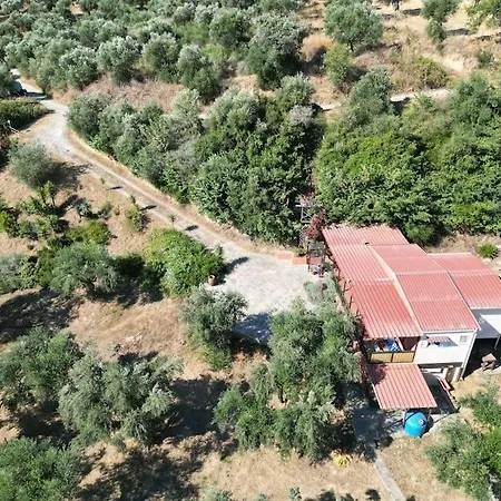 Olivia's Grove-hideway Apartment